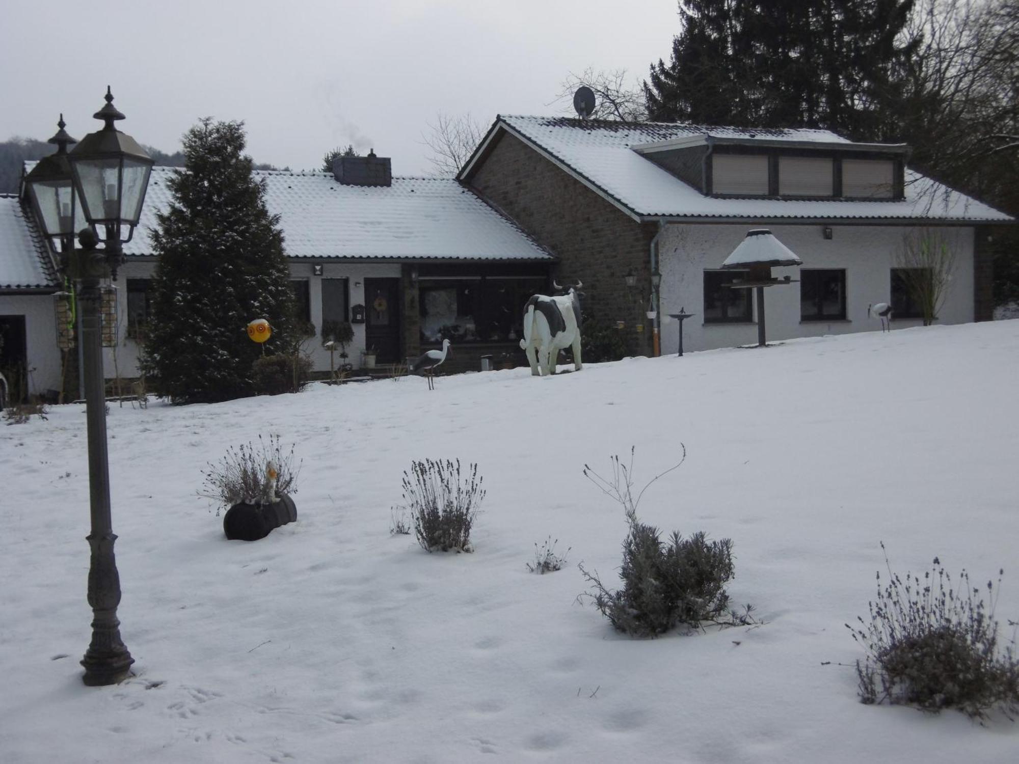 Land Des Friedens In Nettersheim / Eifel Exterior foto