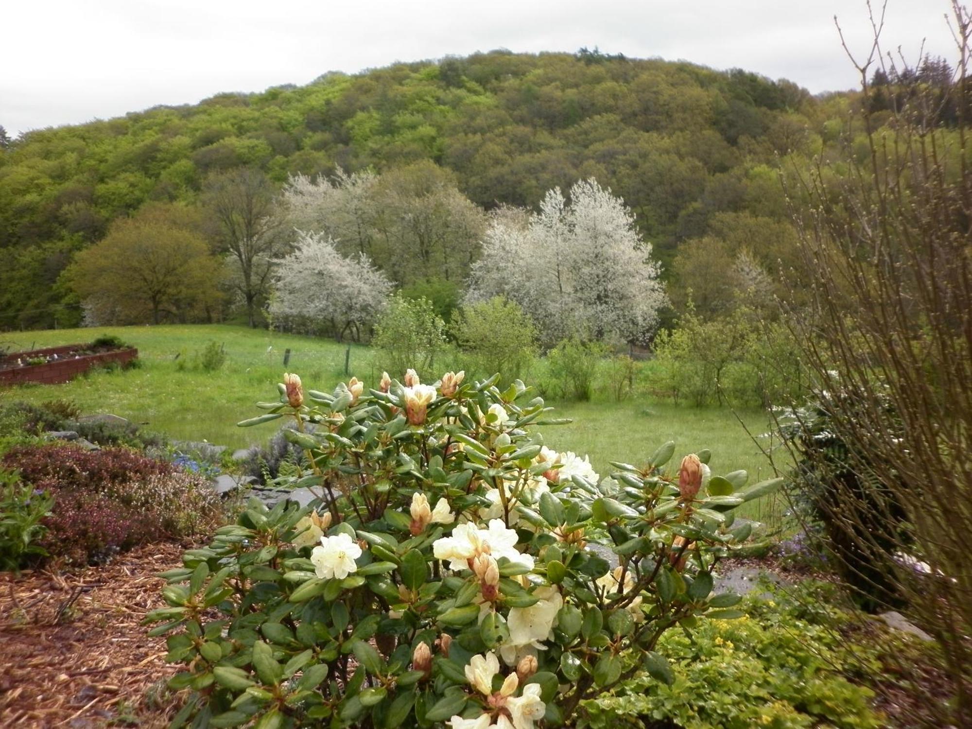 Land Des Friedens In Nettersheim / Eifel Exterior foto